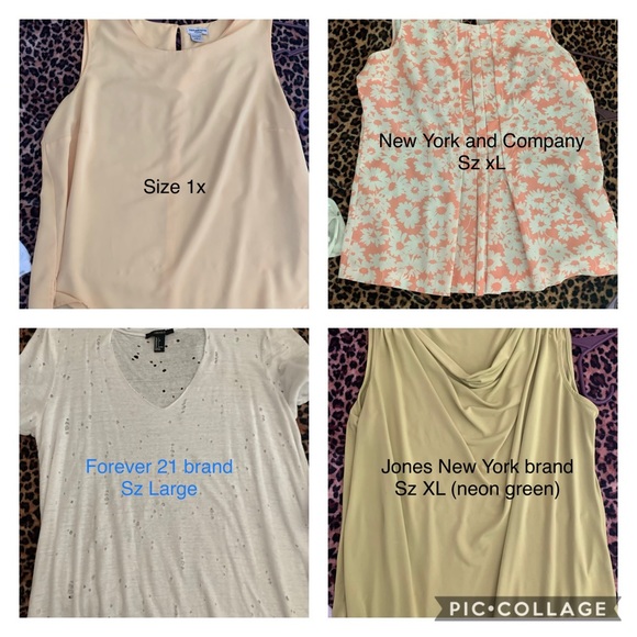 Blouses - Picture 3 of 3